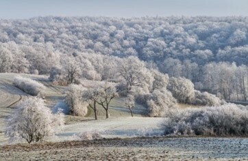 Foto: © Manfred Igers